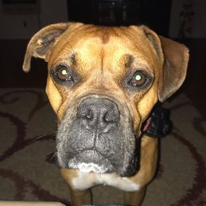 Meet your Posher, John